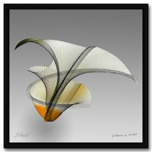 Flower_Power_Encadre_Web